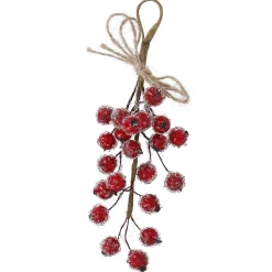 Anhänger Beeren/Eis, Grob