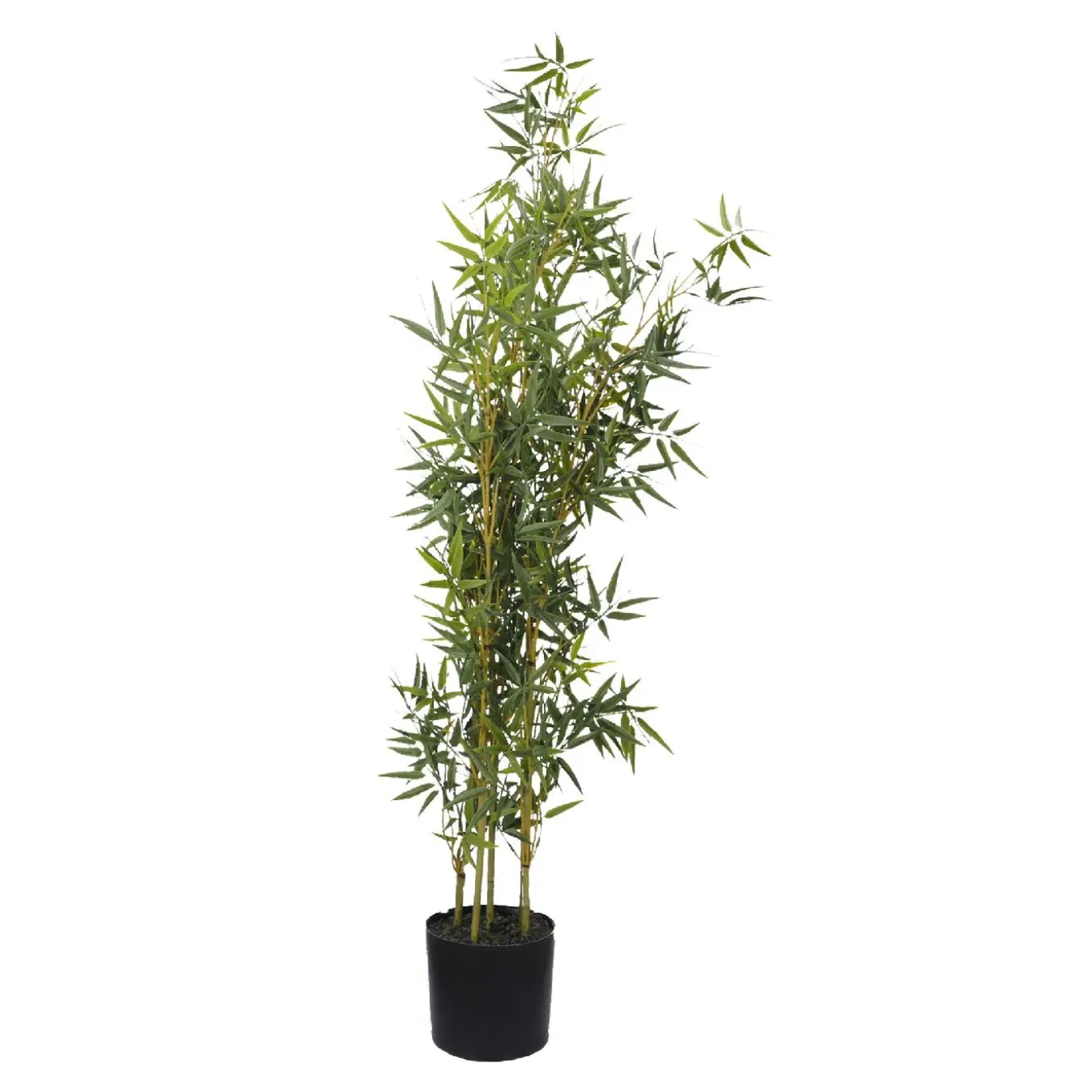 Bambustopf, Grün, 100 Cm