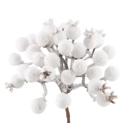 Beeren-Bündel, Weiß