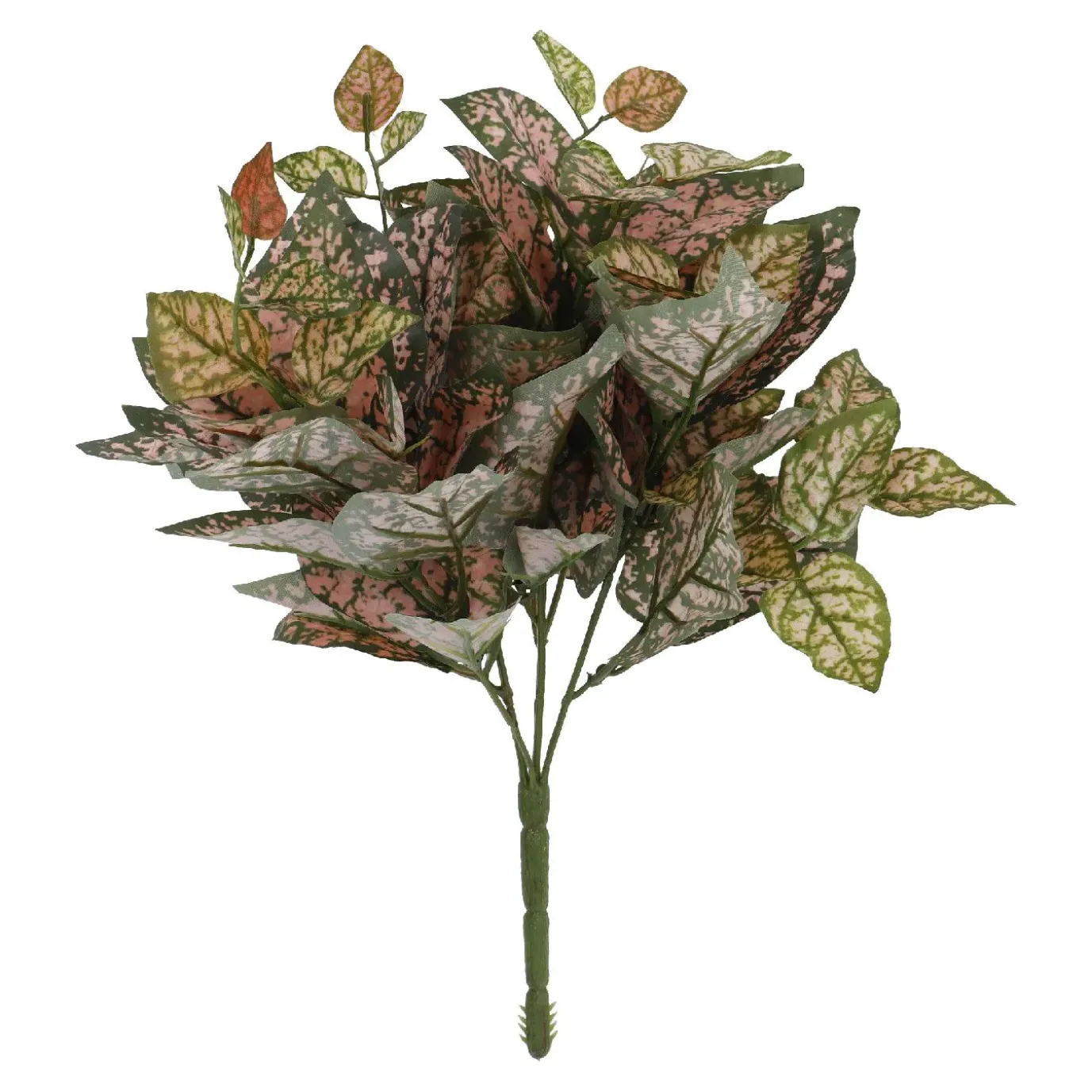 Busch Buntnessel, Rosa/grün, 27 Cm