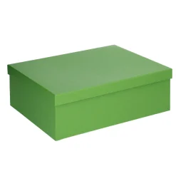 6er Set Geschenkkarton Uni, Hellgrün