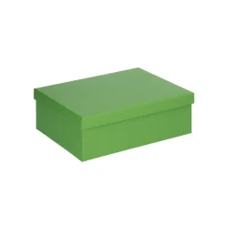 6er Set Geschenkkarton Uni, Hellgrün