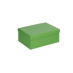 6er Set Geschenkkarton Uni, Hellgrün