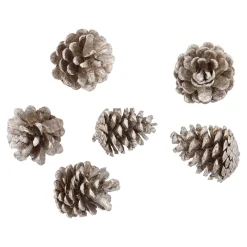 6er Set Tannenzapfen Metallic, Champagner