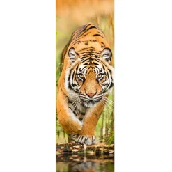 Jumboposter Big Tiger Walking, Nr. 33