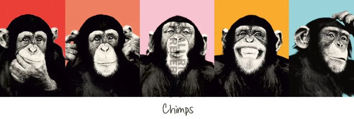 Jumboposter The Chimp - Pop, Nr. 36