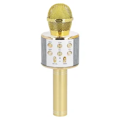 Karaoke Mikrofon, Gold, 23 Cm