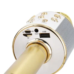 Karaoke Mikrofon, Gold, 23 Cm