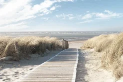 Poster Dunes, Nr. 158