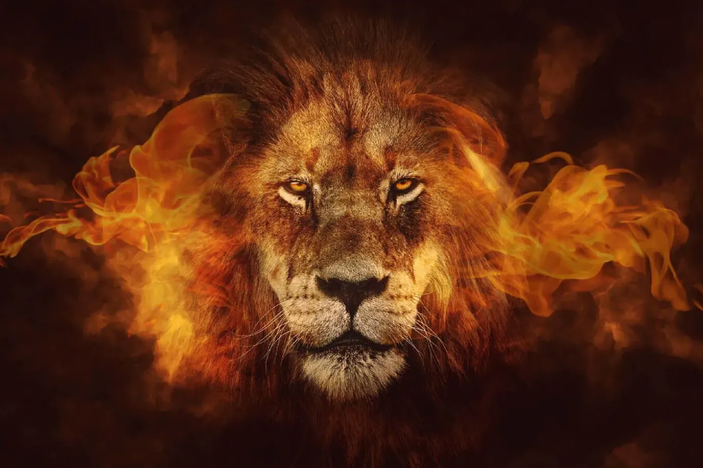 Poster Flaming Lion, Nr. 98