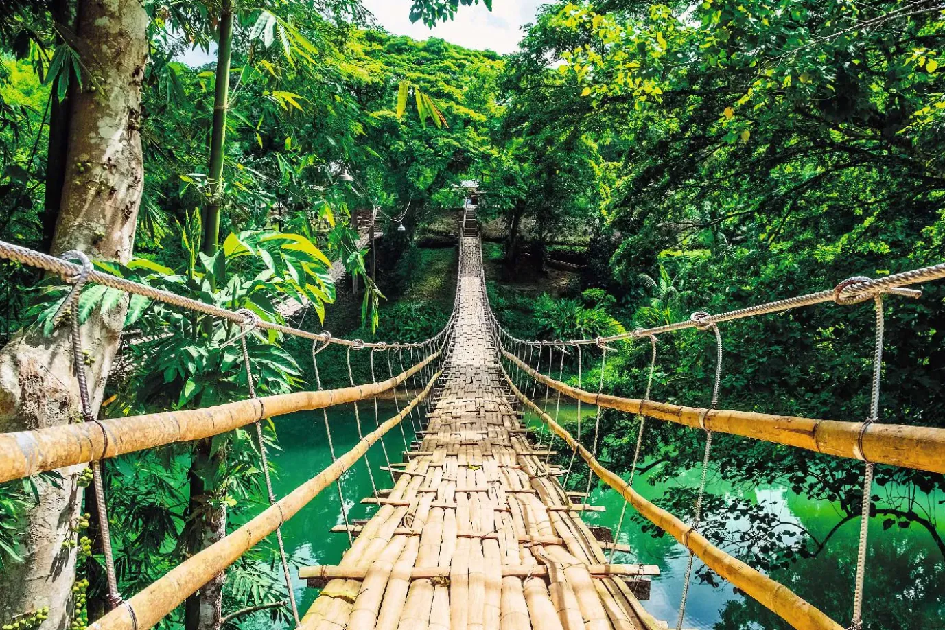 Poster Jungle Bridge, Nr. 117