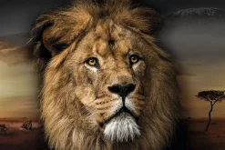 Poster Lion Design, Nr. 188