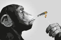 Poster Monkey Joint Time, Nr. 226