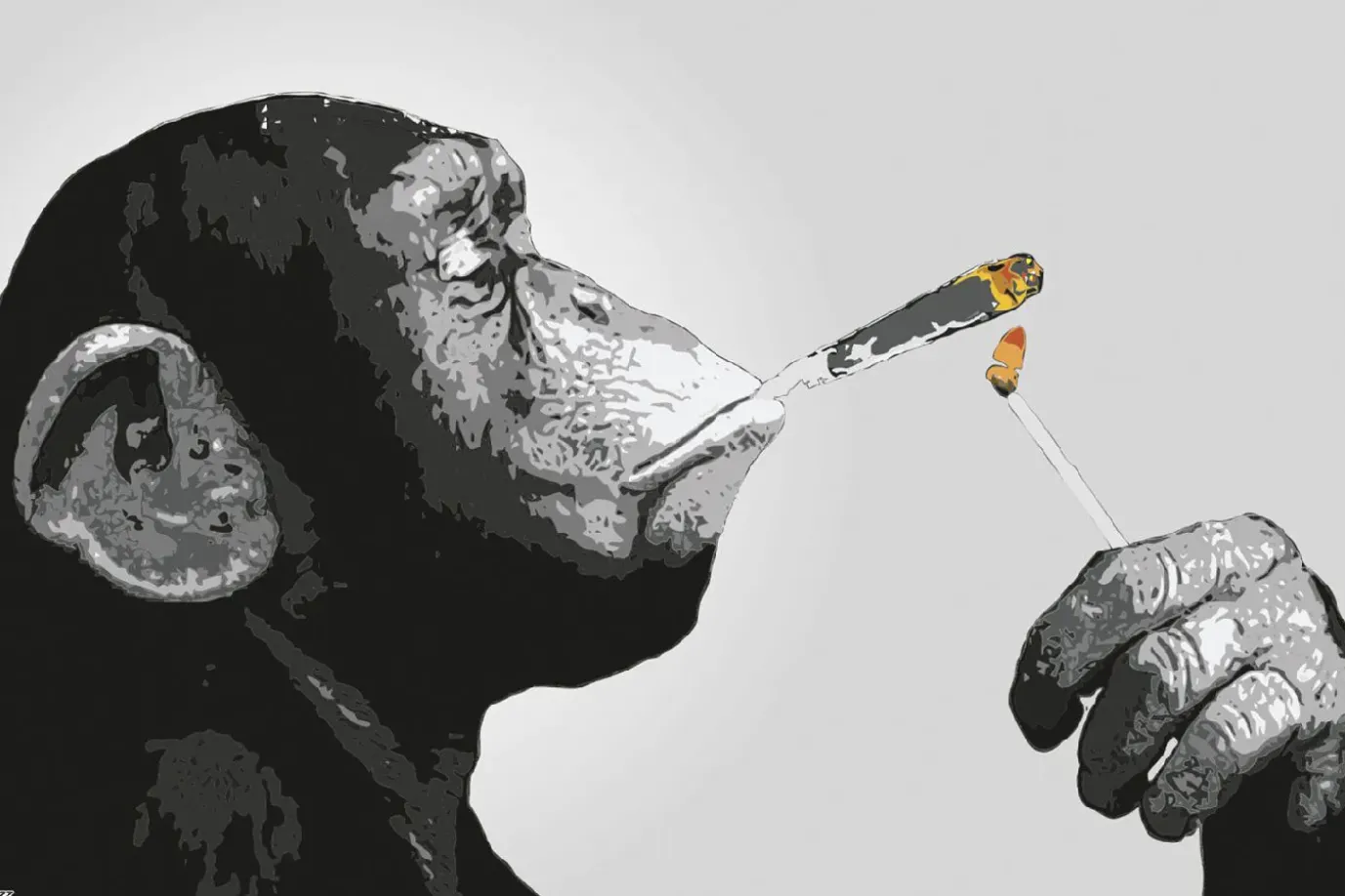 Poster Monkey Joint Time, Nr. 226