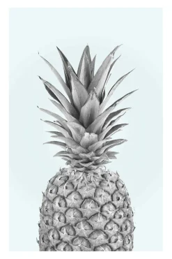 Poster Pineapple, Nr. 51