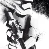Poster Star Wars Stormtrooper, Nr. 119