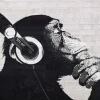Poster The Chimp Stereo - Wall, Nr. 228