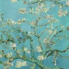 Poster Van Gogh Amandelbloesem, Nr. 71
