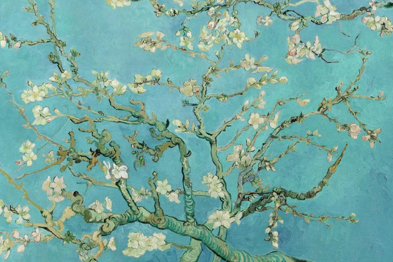 Poster Van Gogh Amandelbloesem, Nr. 71