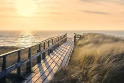 Poster Way To The Sea, Nr. 107