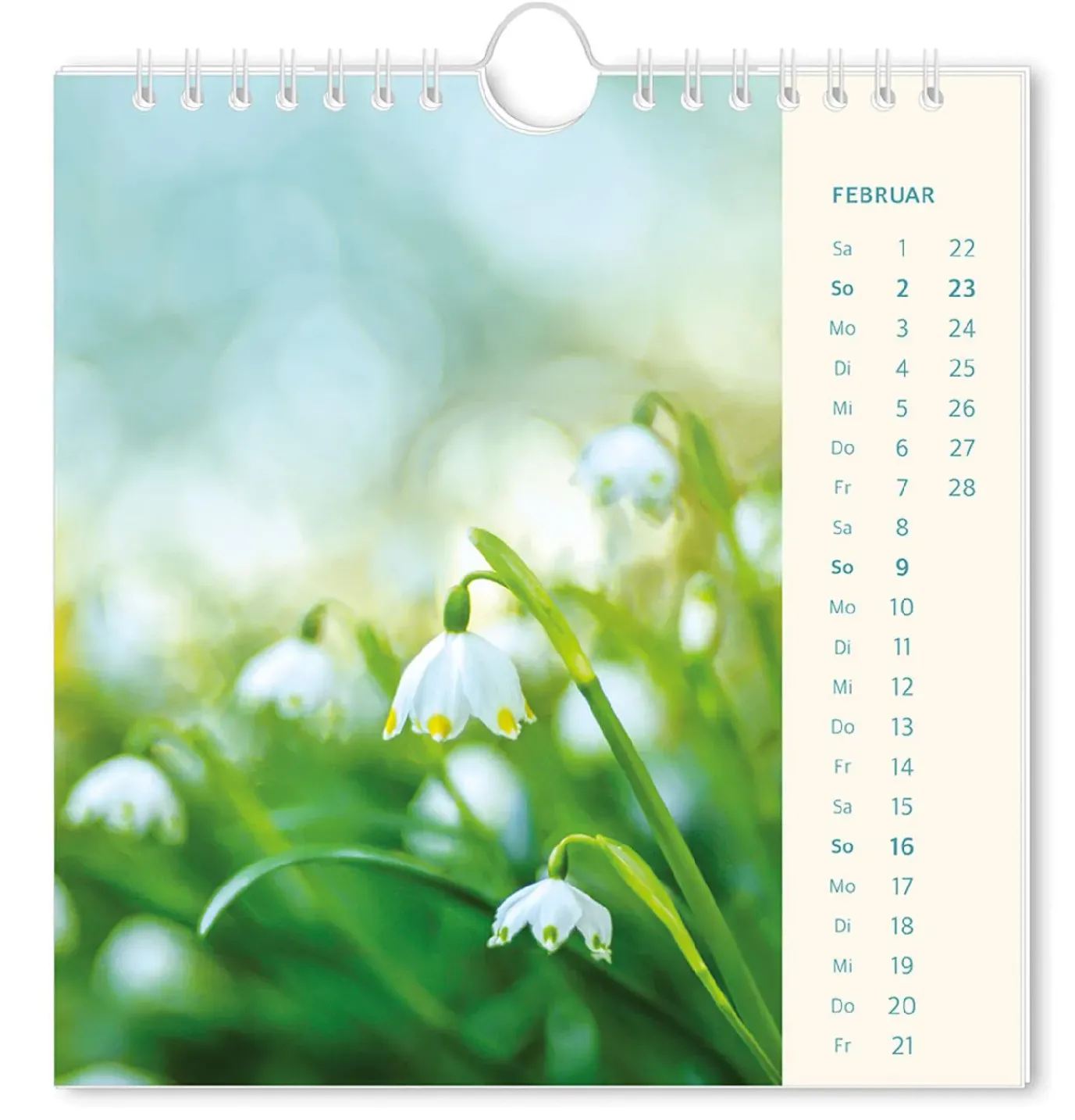 Postkarten Kalender, 2025, Lichtblicke