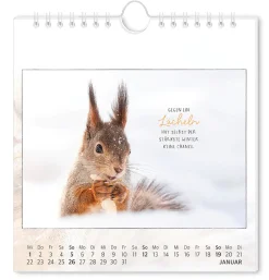 Postkarten Kalender, 2025,Traumtage