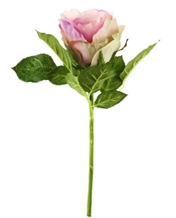 Rose, 30 Cm, Alt-rosa