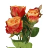 Rose Alina, 3 Blüten/orange, 38 Cm
