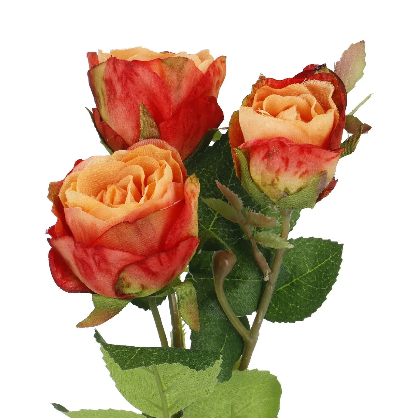 Rose Alina, 3 Blüten/orange, 38 Cm