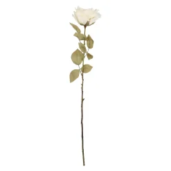 Rose Theresa, Creme, 63 Cm