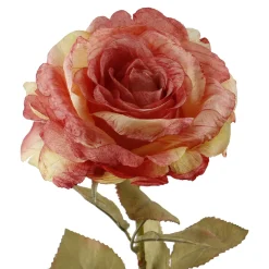 Rose Theresa, Orange, 63 Cm