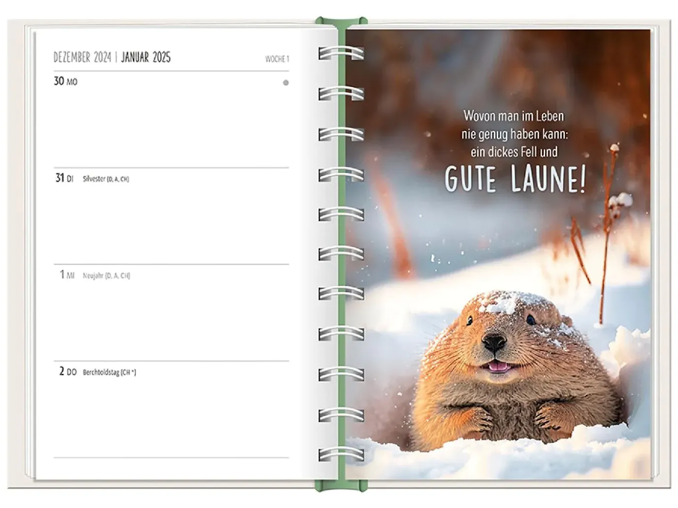 Terminplaner 2025, Happymacher