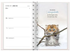 Terminplaner 2025, Samtpfoten