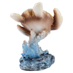 Tier See, Schildkröte/braun, Glänzend, 6 X 8 Cm