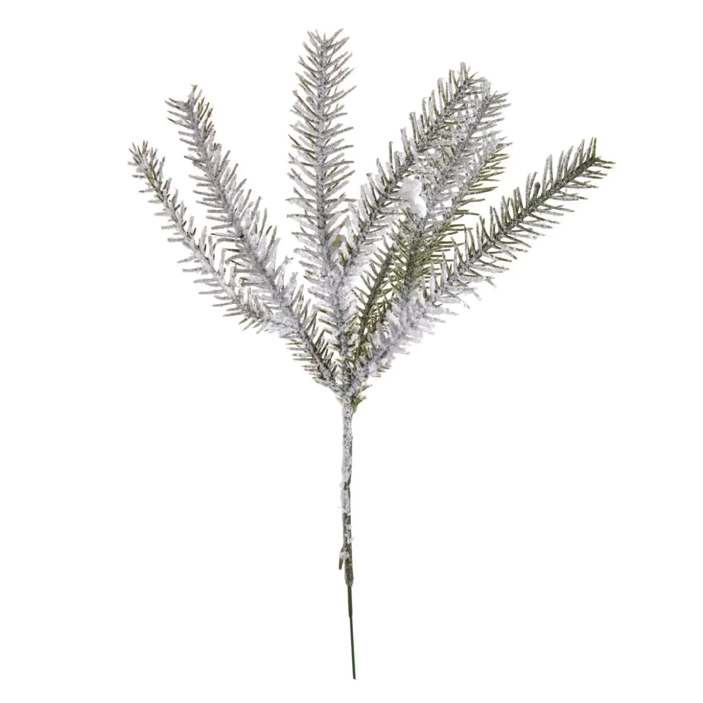 Zweig Tanne, Schnee, 33 Cm